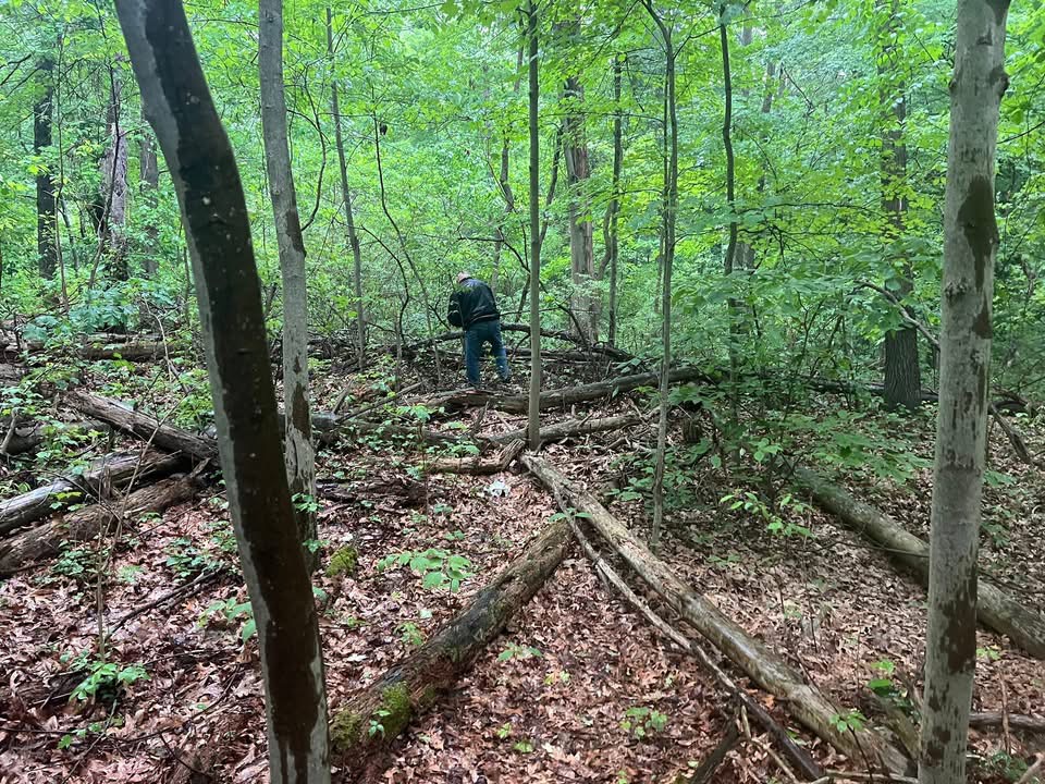 It's not all work and no play!!