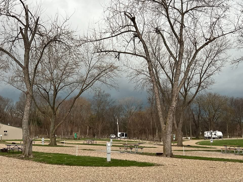 This Illinois Weather is for the Birds!!