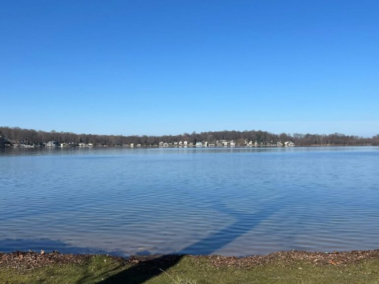 God Laughed at our Plans